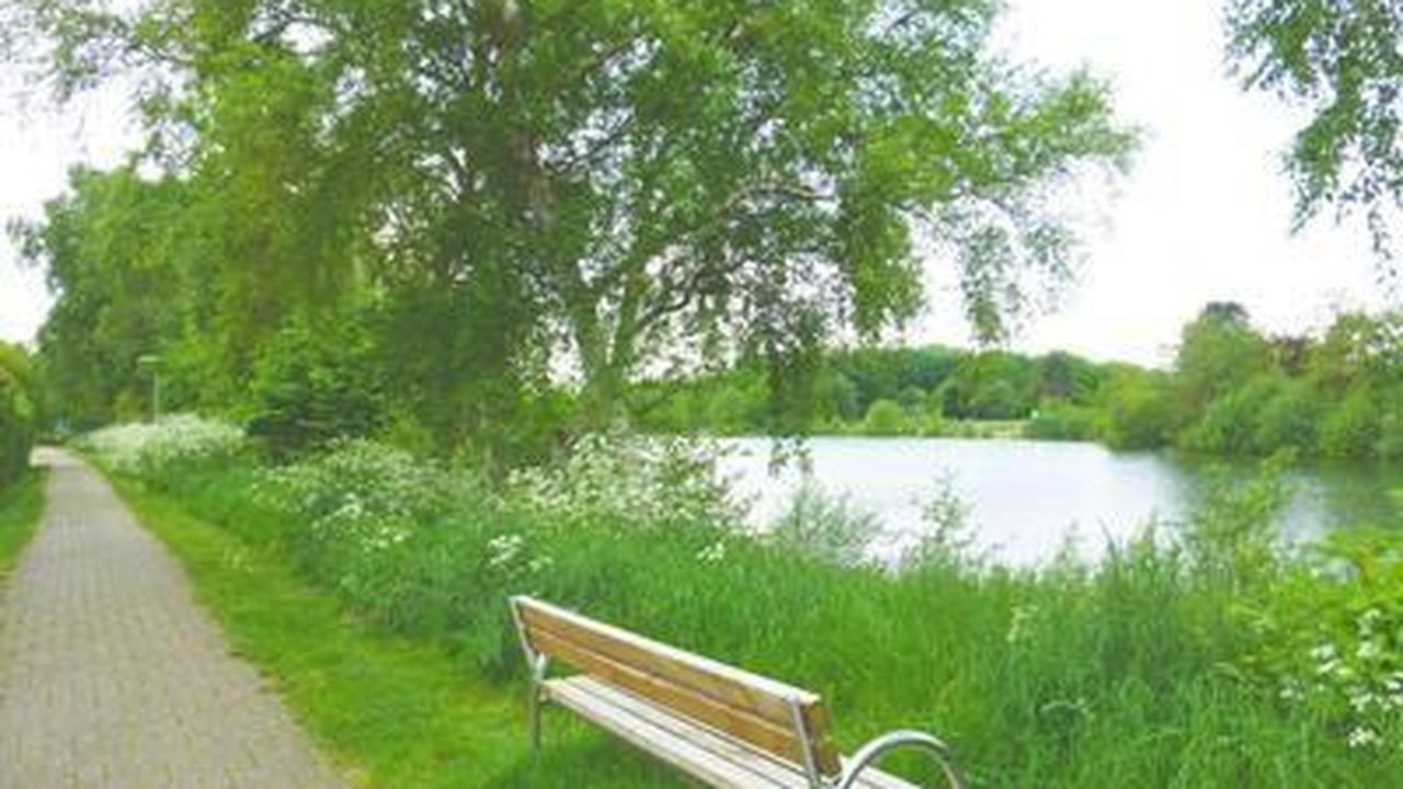 Am Kiessee befindet sich der Kurpark vom Luftkurort Hage. Am Kiessee befindet sich der Kurpark vom Luftkurort Hage.